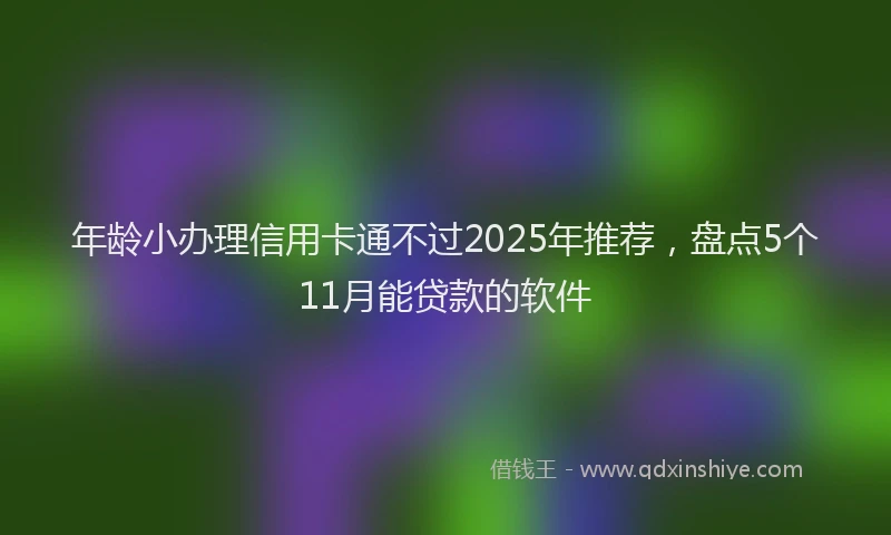 年龄小办理信用卡通不过2025年推荐，盘点5个11月能贷款的软件