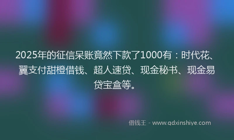 2025年的征信呆账竟然下款了1000有：时代花、翼支付甜橙借钱、超人速贷、现金秘书、现金易贷宝盒等。