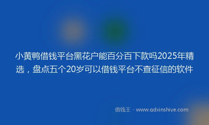 小黄鸭借钱平台黑花户能百分百下款吗2025年精选，盘点五个20岁可以借钱平台不查征信的软件