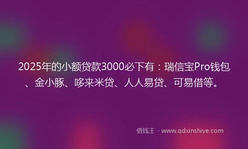 2025年的小额贷款3000必下有：瑞信宝Pro钱包、金小豚、哆来米贷、人人易贷、可易借等。