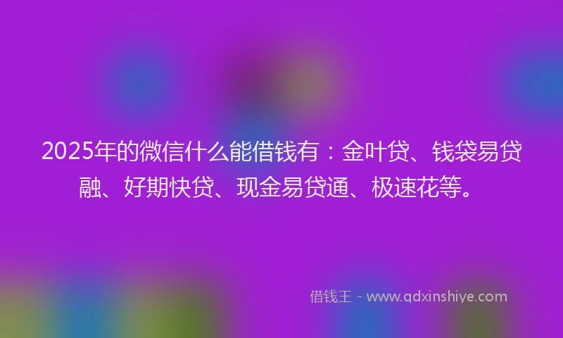 2025年的微信什么能借钱有：金叶贷、钱袋易贷融、好期快贷、现金易贷通、极速花等。
