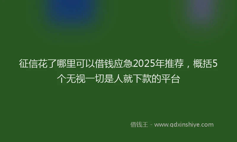 征信花了哪里可以借钱应急2025年推荐，概括5个无视一切是人就下款的平台