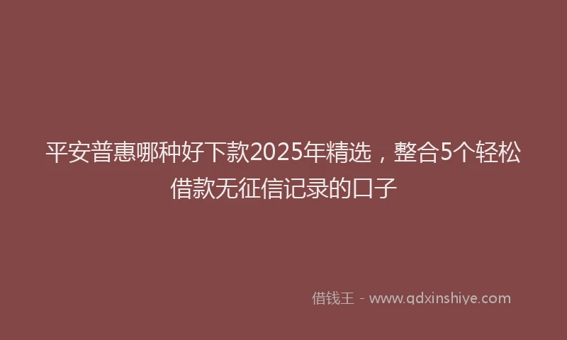 平安普惠哪种好下款2025年精选，整合5个轻松借款无征信记录的口子