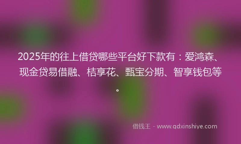 2025年的往上借贷哪些平台好下款有：爱鸿森、现金贷易借融、桔享花、甄宝分期、智享钱包等。