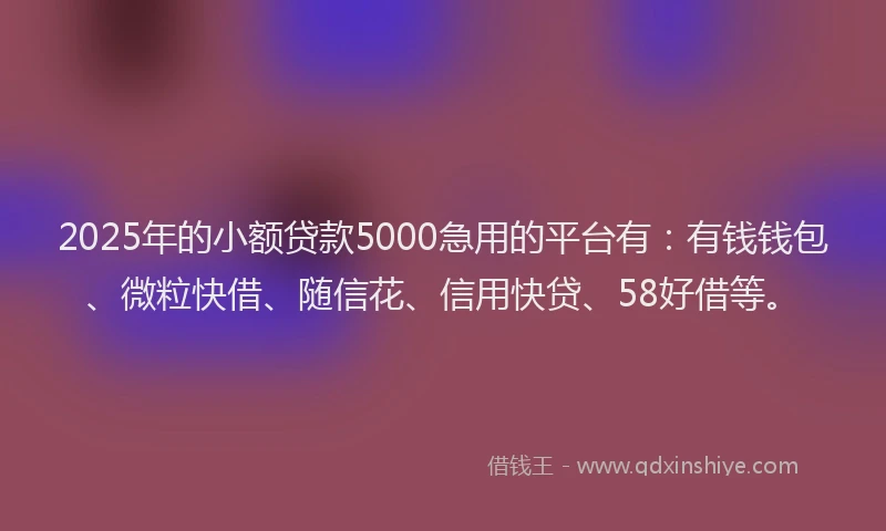 2025年的小额贷款5000急用的平台有：有钱钱包、微粒快借、随信花、信用快贷、58好借等。