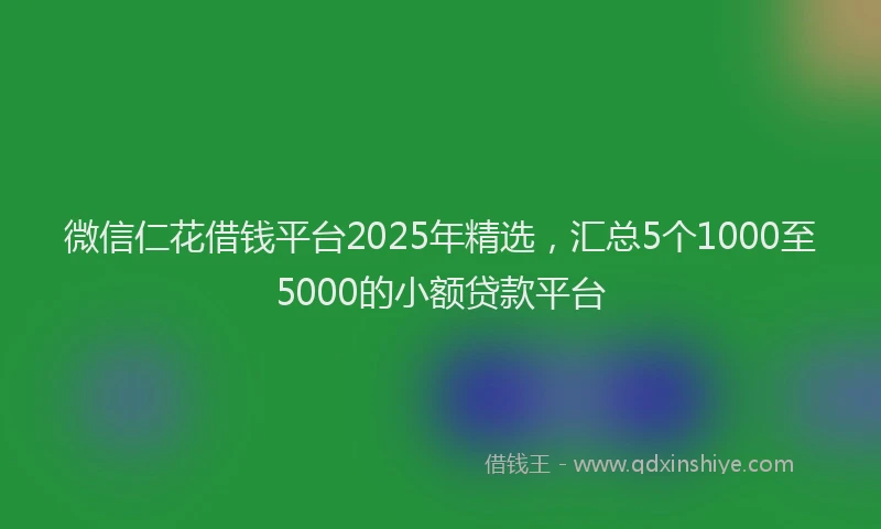 微信仁花借钱平台2025年精选，汇总5个1000至5000的小额贷款平台