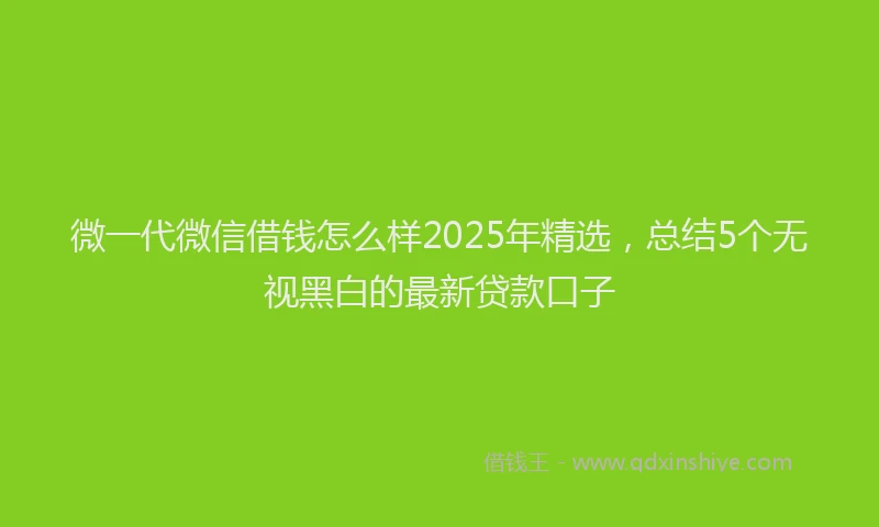 微一代微信借钱怎么样2025年精选，总结5个无视黑白的最新贷款口子