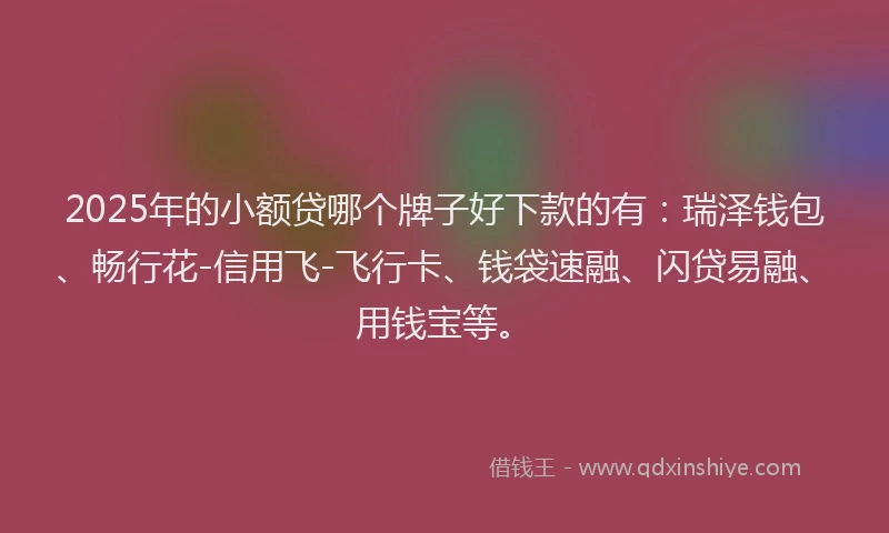 2025年的小额贷哪个牌子好下款的有：瑞泽钱包、畅行花-信用飞-飞行卡、钱袋速融、闪贷易融、用钱宝等。