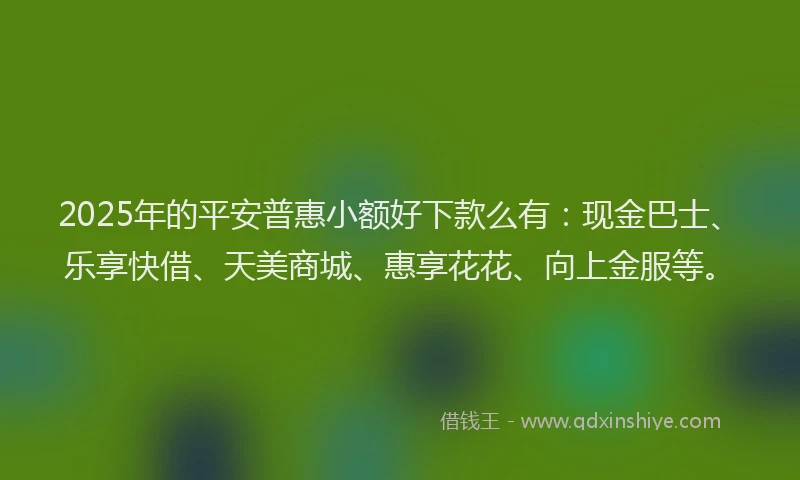 2025年的平安普惠小额好下款么有：现金巴士、乐享快借、天美商城、惠享花花、向上金服等。