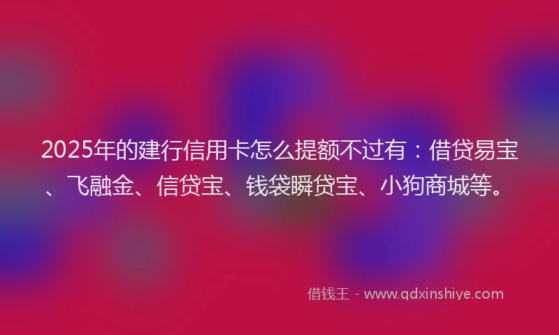2025年的建行信用卡怎么提额不过有：借贷易宝、飞融金、信贷宝、钱袋瞬贷宝、小狗商城等。