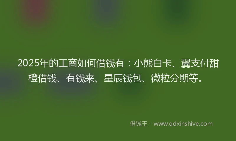 2025年的工商如何借钱有：小熊白卡、翼支付甜橙借钱、有钱来、星辰钱包、微粒分期等。