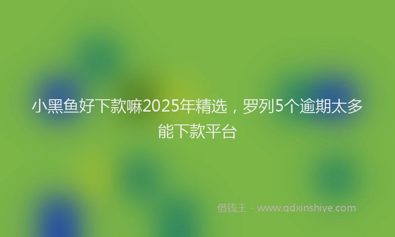 小黑鱼好下款嘛2025年精选，罗列5个逾期太多能下款平台
