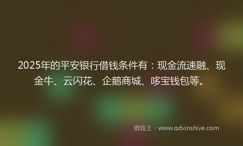 2025年的平安银行借钱条件有：现金流速融、现金牛、云闪花、企鹅商城、哆宝钱包等。