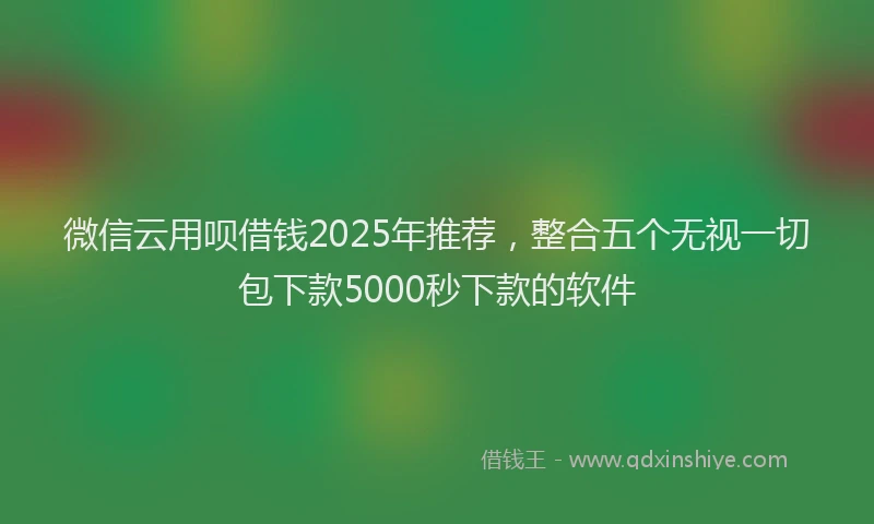 微信云用呗借钱2025年推荐，整合五个无视一切包下款5000秒下款的软件
