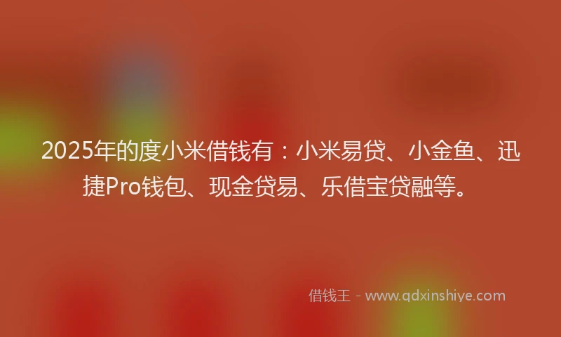 2025年的度小米借钱有：小米易贷、小金鱼、迅捷Pro钱包、现金贷易、乐借宝贷融等。