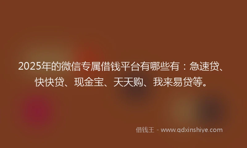 2025年的微信专属借钱平台有哪些有：急速贷、快快贷、现金宝、天天购、我来易贷等。