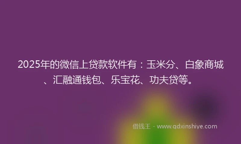 2025年的微信上贷款软件有：玉米分、白象商城、汇融通钱包、乐宝花、功夫贷等。