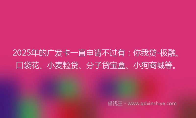 2025年的广发卡一直申请不过有：你我贷-极融、口袋花、小麦粒贷、分子贷宝盒、小狗商城等。