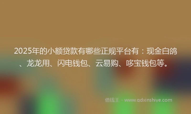 2025年的小额贷款有哪些正规平台有：现金白鸽、龙龙用、闪电钱包、云易购、哆宝钱包等。