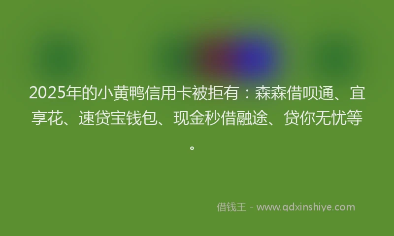 2025年的小黄鸭信用卡被拒有：森森借呗通、宜享花、速贷宝钱包、现金秒借融途、贷你无忧等。