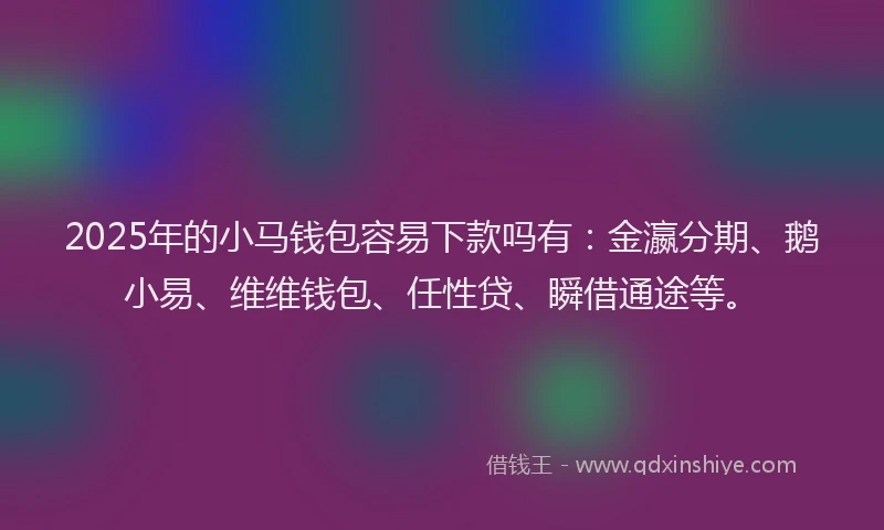 2025年的小马钱包容易下款吗有：金瀛分期、鹅小易、维维钱包、任性贷、瞬借通途等。