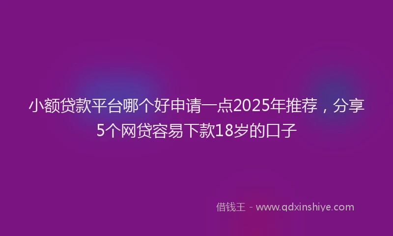 小额贷款平台哪个好申请一点2025年推荐，分享5个网贷容易下款18岁的口子