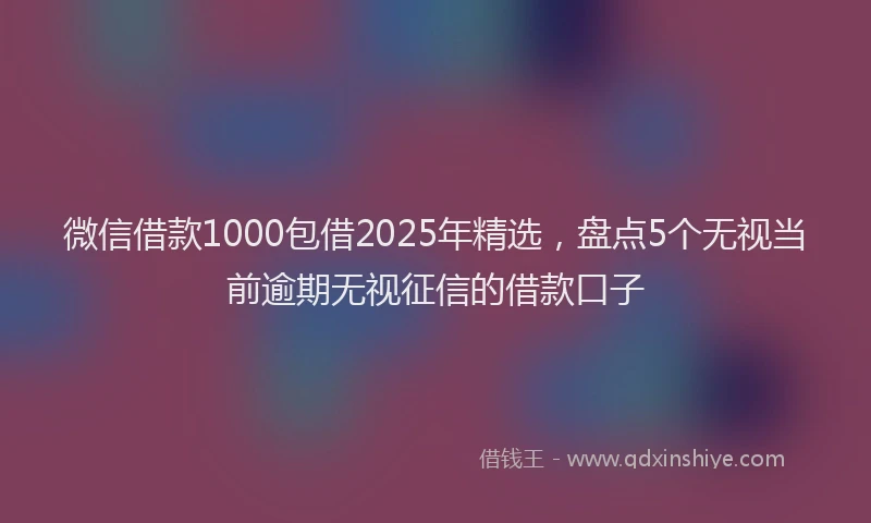 微信借款1000包借2025年精选，盘点5个无视当前逾期无视征信的借款口子