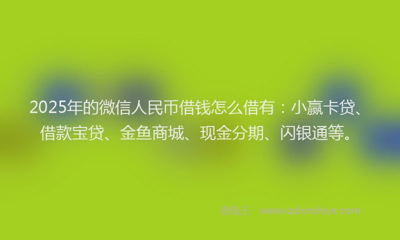 2025年的微信人民币借钱怎么借有：小赢卡贷、借款宝贷、金鱼商城、现金分期、闪银通等。