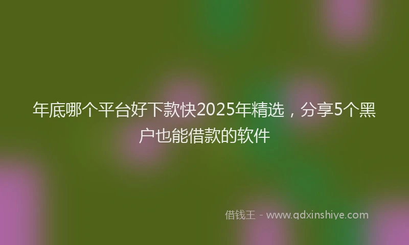 年底哪个平台好下款快2025年精选，分享5个黑户也能借款的软件