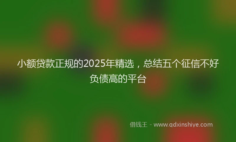 小额贷款正规的2025年精选，总结五个征信不好负债高的平台