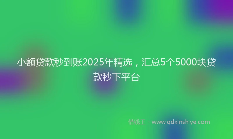 小额贷款秒到账2025年精选，汇总5个5000块贷款秒下平台
