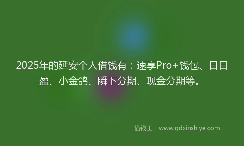 2025年的延安个人借钱有：速享Pro+钱包、日日盈、小金鸽、瞬下分期、现金分期等。