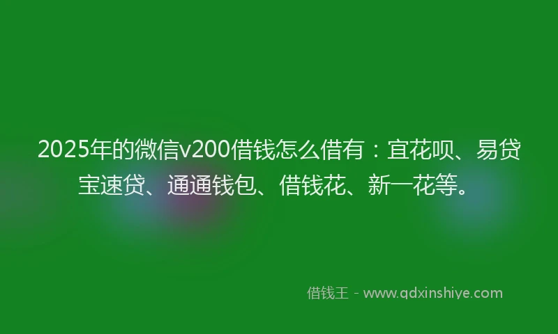 2025年的微信v200借钱怎么借有：宜花呗、易贷宝速贷、通通钱包、借钱花、新一花等。