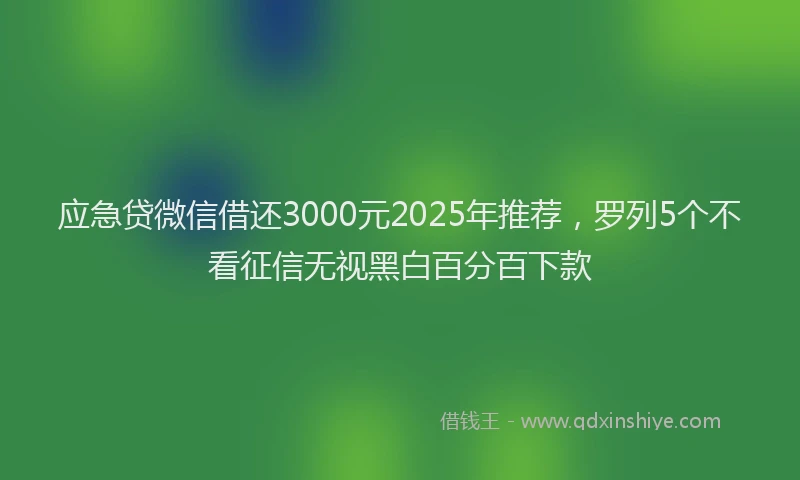 应急贷微信借还3000元2025年推荐，罗列5个不看征信无视黑白百分百下款