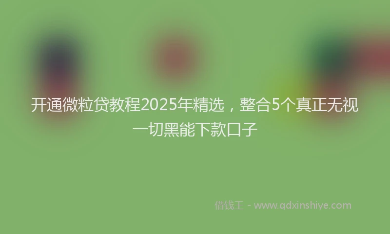 开通微粒贷教程2025年精选，整合5个真正无视一切黑能下款口子