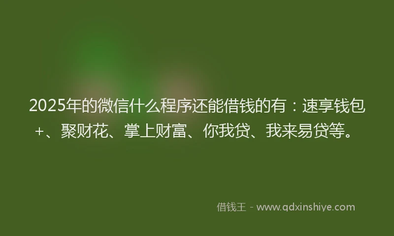 2025年的微信什么程序还能借钱的有：速享钱包+、聚财花、掌上财富、你我贷、我来易贷等。