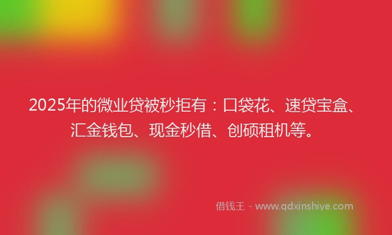 2025年的微业贷被秒拒有：口袋花、速贷宝盒、汇金钱包、现金秒借、创硕租机等。