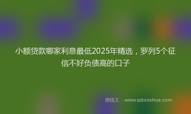 小额贷款哪家利息最低2025年精选，罗列5个征信不好负债高的口子