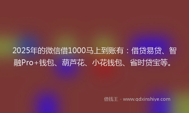 2025年的微信借1000马上到账有：借贷易贷、智融Pro+钱包、葫芦花、小花钱包、省时贷宝等。
