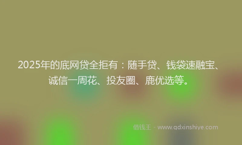 2025年的底网贷全拒有：随手贷、钱袋速融宝、诚信一周花、投友圈、鹿优选等。