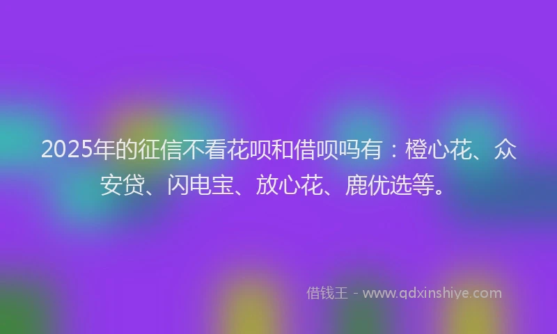 2025年的征信不看花呗和借呗吗有：橙心花、众安贷、闪电宝、放心花、鹿优选等。