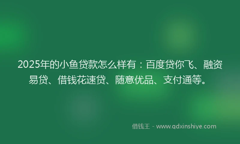 2025年的小鱼贷款怎么样有：百度贷你飞、融资易贷、借钱花速贷、随意优品、支付通等。