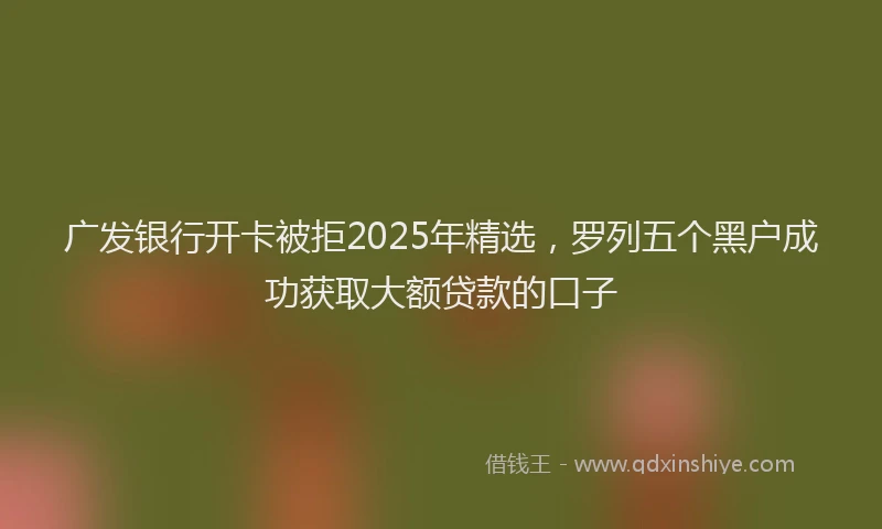 广发银行开卡被拒2025年精选，罗列五个黑户成功获取大额贷款的口子