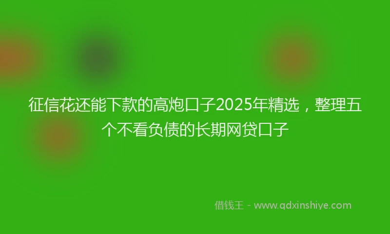 征信花还能下款的高炮口子2025年精选，整理五个不看负债的长期网贷口子