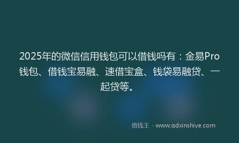 2025年的微信信用钱包可以借钱吗有：金易Pro钱包、借钱宝易融、速借宝盒、钱袋易融贷、一起贷等。