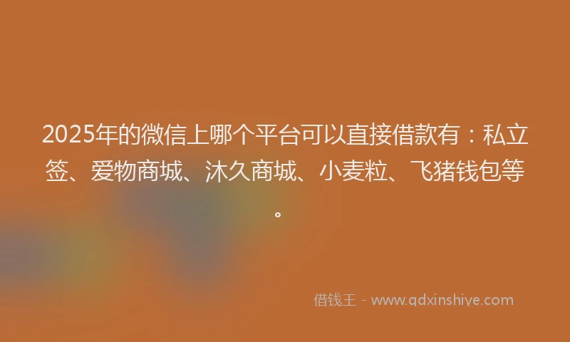 2025年的微信上哪个平台可以直接借款有：私立签、爱物商城、沐久商城、小麦粒、飞猪钱包等。