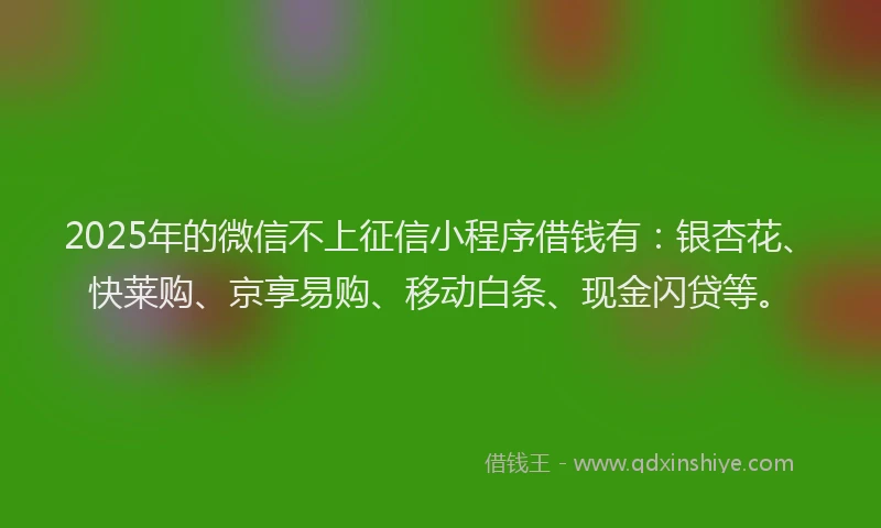 2025年的微信不上征信小程序借钱有：银杏花、快莱购、京享易购、移动白条、现金闪贷等。