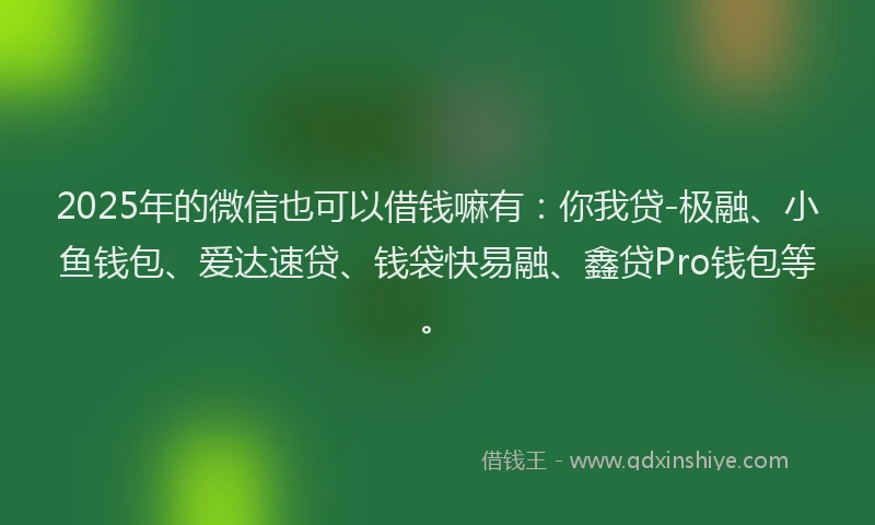 2025年的微信也可以借钱嘛有：你我贷-极融、小鱼钱包、爱达速贷、钱袋快易融、鑫贷Pro钱包等。