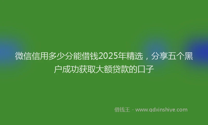 微信信用多少分能借钱2025年精选，分享五个黑户成功获取大额贷款的口子