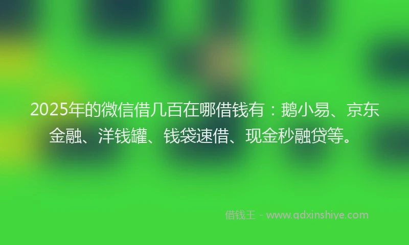 2025年的微信借几百在哪借钱有：鹅小易、京东金融、洋钱罐、钱袋速借、现金秒融贷等。
